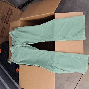 The Limited pants